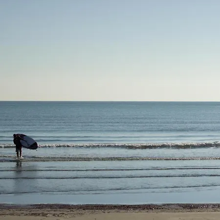 Lazuli Sea View-beachfront Ap 405 Lejlighed *